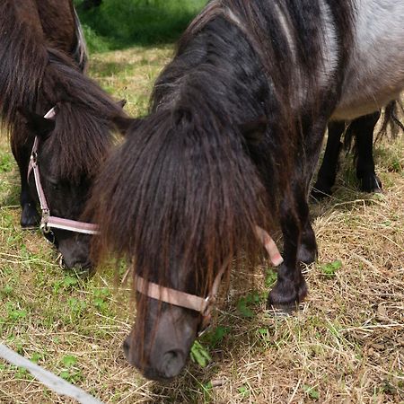 Fewo Naehe Seenlandschaft - Belantis Lipcse Kültér fotó